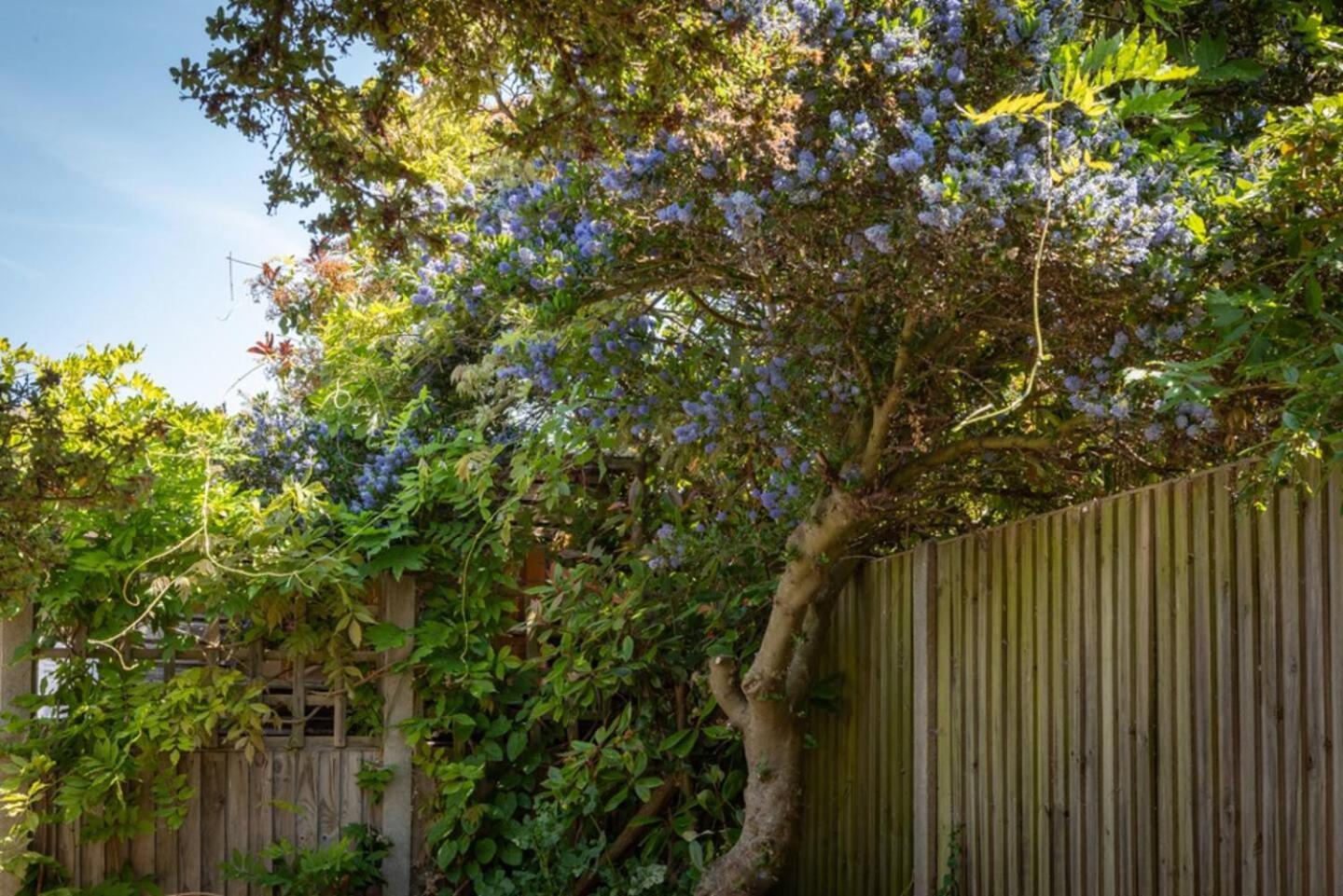 Eden Cottage Whitstable Εξωτερικό φωτογραφία
